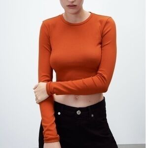 New Zara | Burnt Orange Crewneck Long Sleeve Cropped Top Size Small